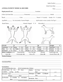 Comprehensive Health Assessment and Tracking Record form preview