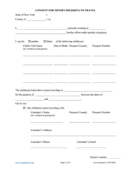 New York Minor Child Travel Authorization Overview form preview