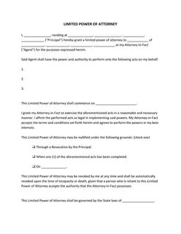 Limited Power of Attorney Authorization Agreement form preview