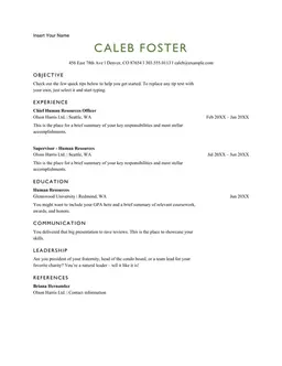 ATS basic HR resume form preview