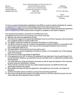 York County Pennsylvania Support Order Procedure form preview