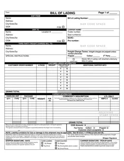 Bill of Lading form preview